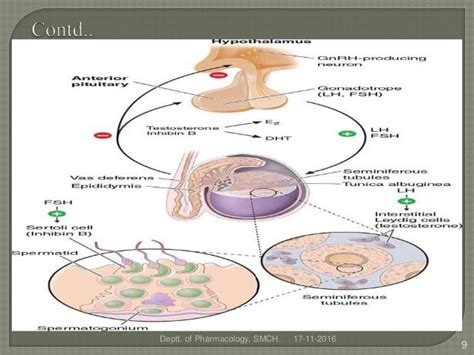 GnRH Agonists & Antagonists