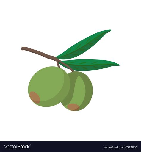 Olives on branch with leaves icon cartoon style Vector Image