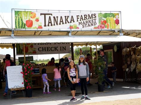 Going Beyond Farm To Table at Tanaka Farms | Family Vacation Hub