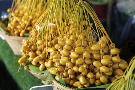 Raw yellow Dates in thai market, healthy fruit 3239021 Stock Photo at Vecteezy