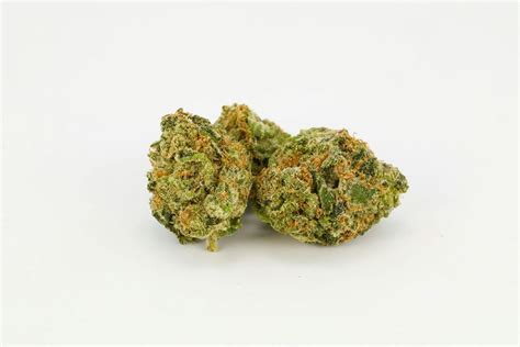 Cali Gold Strain of Marijuana | Weed | Cannabis | Herb | Herb