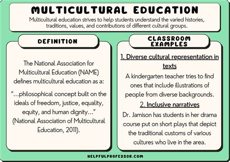 Multicultural Education: Examples and Definition (2024)