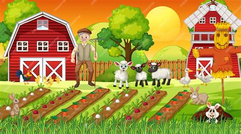 Premium Vector | Farm scene at sunset with old farmer man and cute animals