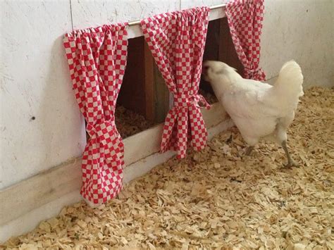 Shirley's World: New Chicken Coop Decor!