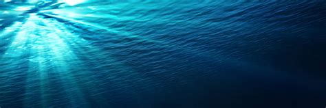 Dark Ocean Floor Stock Photos, Pictures & Royalty-Free Images - iStock