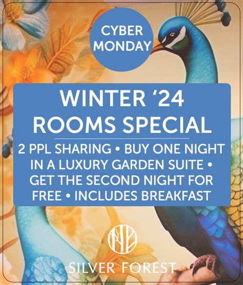 Cyber Monday 2023 Winter '24 Rooms Special - Silver Forest