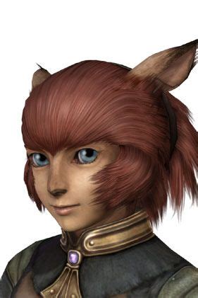 Mithra Face 1 - Characters & Art - Final Fantasy XI | Final fantasy xi, Character art, Fantasy