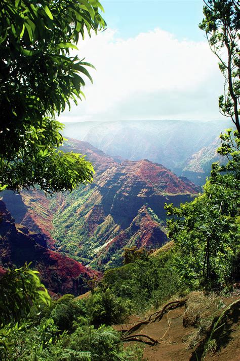 Waimea Canyon Hike Photograph by Susan Burger - Fine Art America