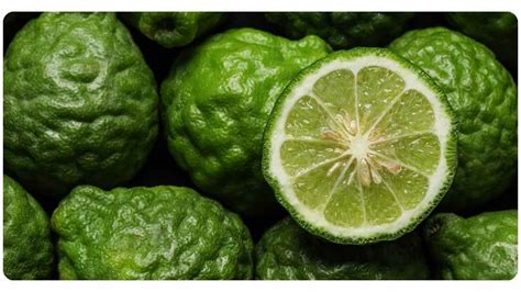 Citrus Bergamot For Inflammation | The Botanical Institute