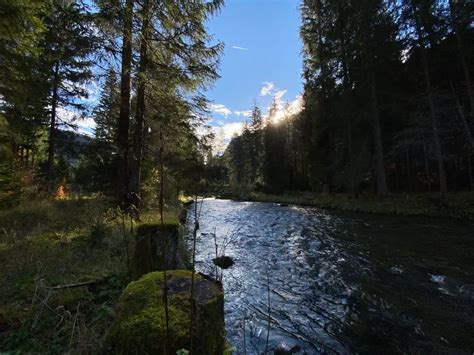 Fly Fishing Austria: Autumn at the Loisach - The Wading List