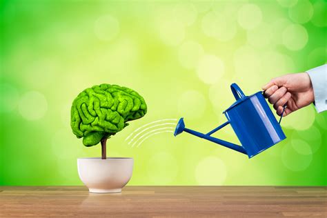 Hydration is Key: Water Your Brain! – NeuroGrow