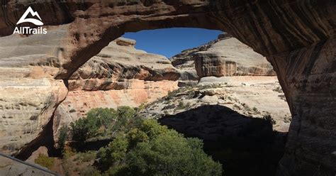 10 Best hikes and trails in Natural Bridges National Monument | AllTrails