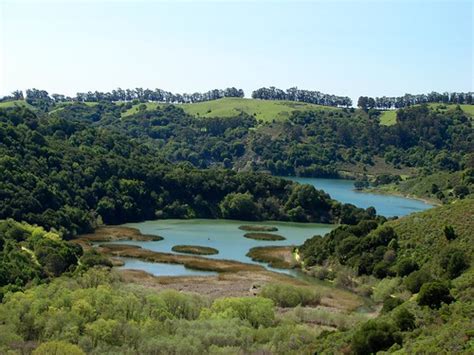 Lake Chabot Trail - California | AllTrails.com