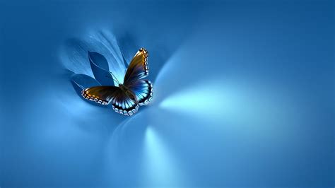 Blue Butterfly Wallpaper HD Free Download