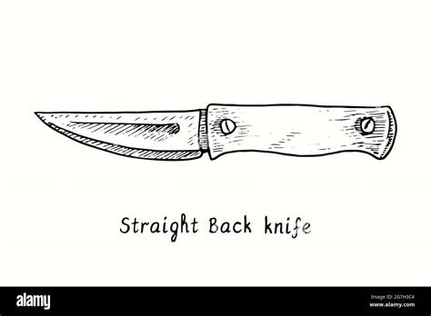 Straight back knife type. Ink black and white drawing outline illustration Stock Photo - Alamy