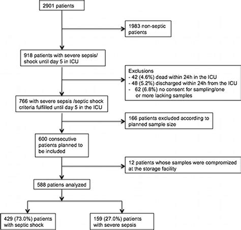 Icu Monitoring Chart