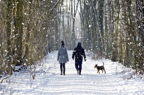 Winter walks and wildlife | National Trust for Scotland