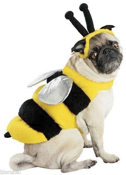 BUMBLE BEE BumbleBee Halloween Dog Pet Costume LARGE (B4) | Pet ...