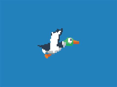 Damn Duck GIF by Dmitri Litvinov on Dribbble