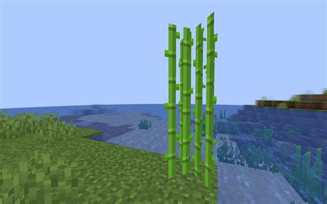 How long does it take for sugarcane to grow in Minecraft 1.19 update?