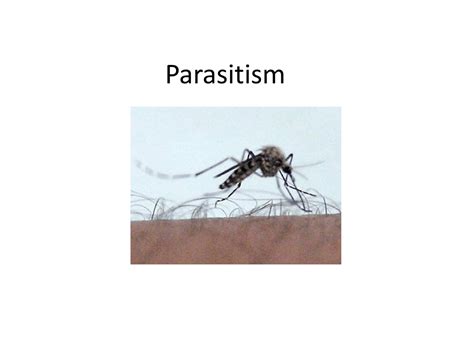 Parasitism - Evolution, Ecology and Biodiversity - Lecture Slides - Docsity