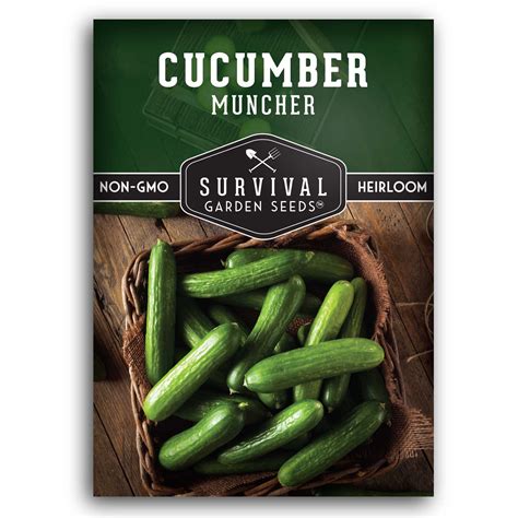 Muncher Cucumber Seeds for Planting - SurvivalGardenSeeds