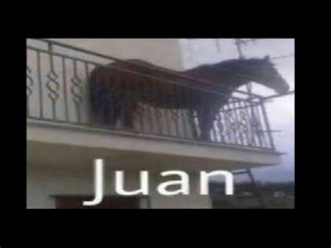 Juan and his cousin.Juan Meme. Juan Horse Meme. Juan meme compilation ...