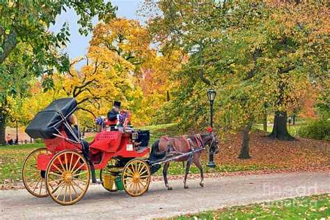 Carriage Ride Central Park Autumn Photograph by Regina Geoghan