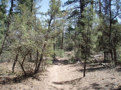 Arizona Hiking - Pine Lakes Trail #316