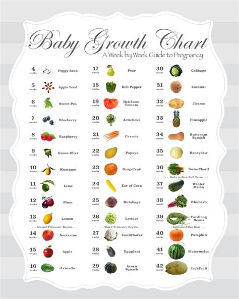 How Big Is Our Baby Week By Week Fruit Sizes For Pregnancy | ubicaciondepersonas.cdmx.gob.mx