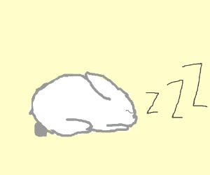 sleeping bunny - Drawception