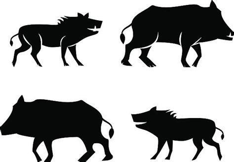 150+ Razorback Hog Stock Illustrations, Royalty-Free Vector Graphics ...