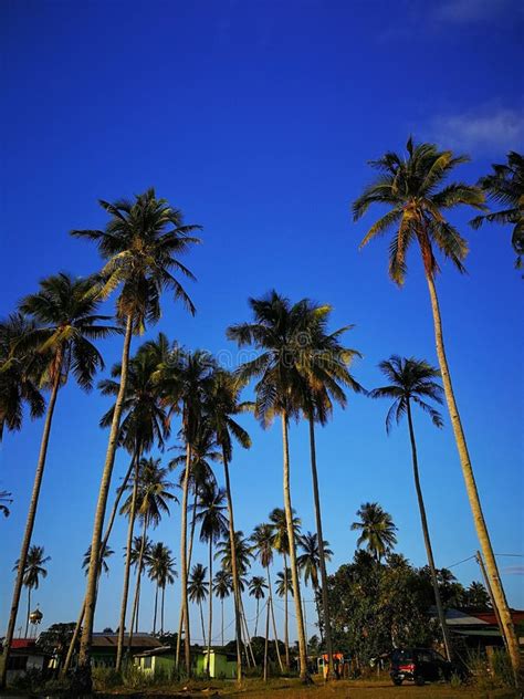 Beautiful Malaysian Landscape. Stock Image - Image of landscape, wallpaper: 157117279