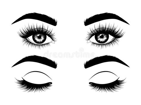 Closed Eyes With Eyelashes And Eyebrows Stock Vector - Illustration of ...