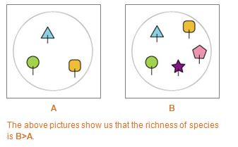 Biodiversity Analyst > Biodiversity Indices > Richness Indices