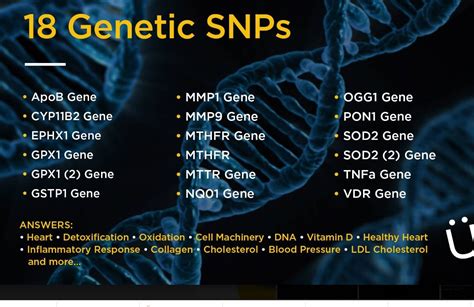 Genetic SNPs