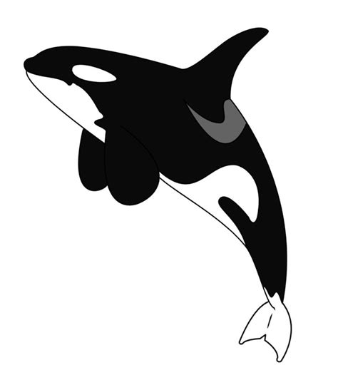 Whale Cartoon Clipart | Orca tattoo, Orca art, Whale drawing