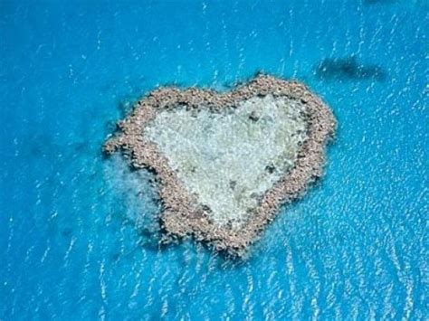 Heart Reef at WotToDo.com.au