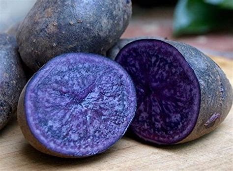 What Is A Purple Root Vegetable - Best Vegetable In The World