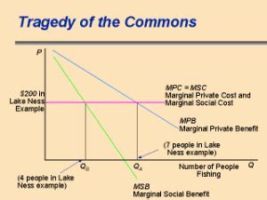 The Tragedy of the Commons — Toxipedia