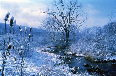 Blue Winter Light Photograph by Denise Wagner | Fine Art America