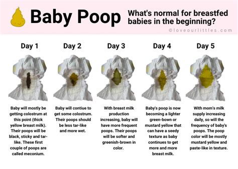 0 Result Images of Green Color Poop In Breastfed Babies - PNG Image Collection