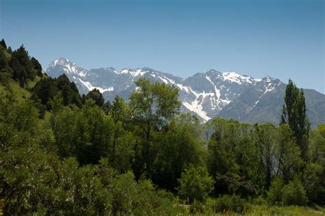 Beautiful Nature. Mountains in Kazakhstan Stock Photo - Image of ...