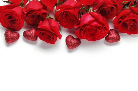 Wallpaper Valentine's Day Heart Red Roses flower White background