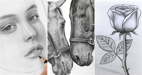 25 Easy Realistic Drawing Ideas - How to Draw Realistic