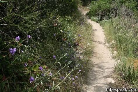 Santa Anita Canyon Loop | Los Angeles | Hikespeak.com