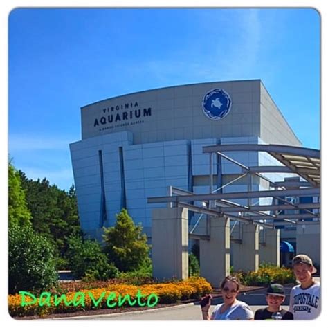 Virginia Aquarium A Fun Place To Visit