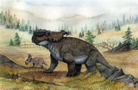 Prehistoric Beast of the Week: Pachyrhinosaurus: Prehistoric Beast of ...