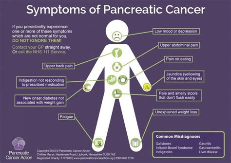 Symptoms of Pancreatic Cancer | All Things Purple ~ Pancreatic Cancer ...