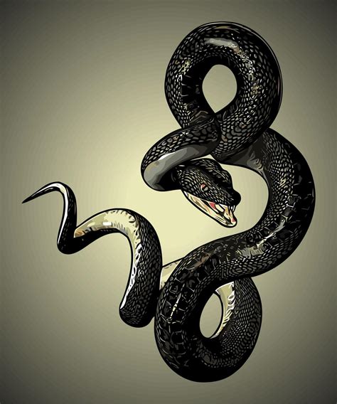 black snake vector 8671067 Vector Art at Vecteezy